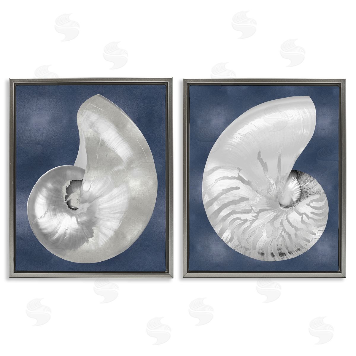 Caroline Kelly | Nautilus Spiral Shells on Blue