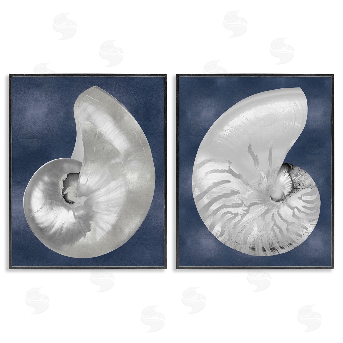 Caroline Kelly | Nautilus Spiral Shells on Blue