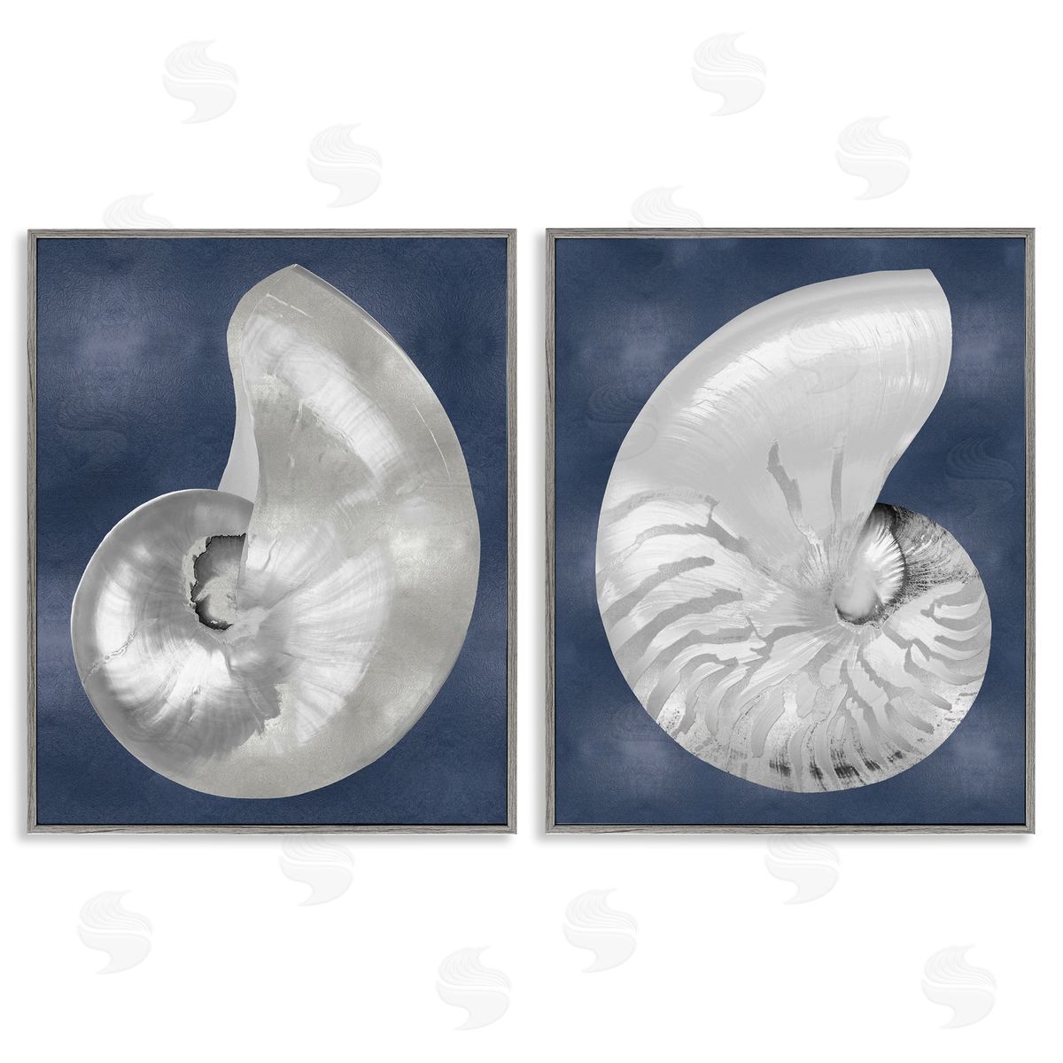 Caroline Kelly | Nautilus Spiral Shells on Blue