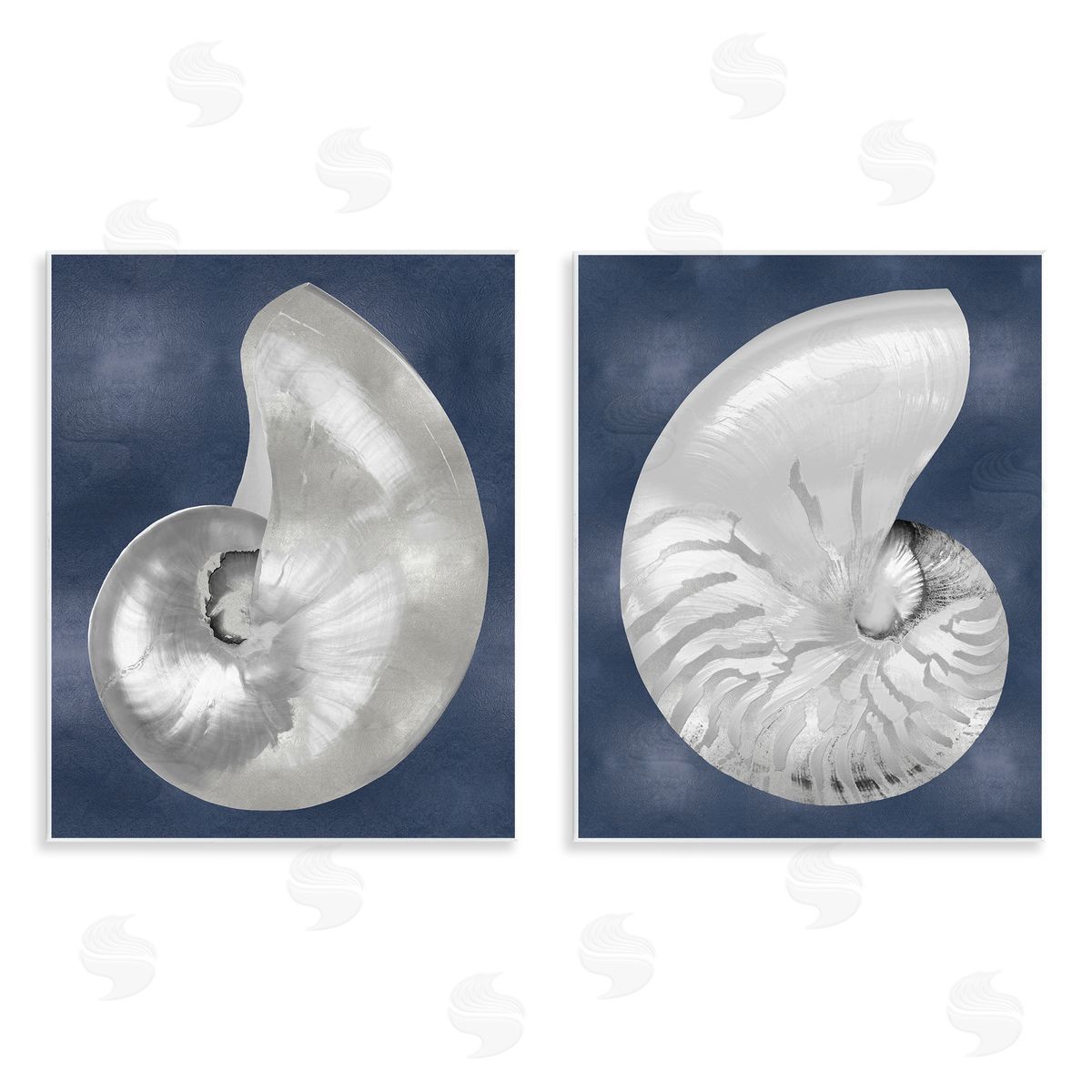 Caroline Kelly | Nautilus Spiral Shells on Blue