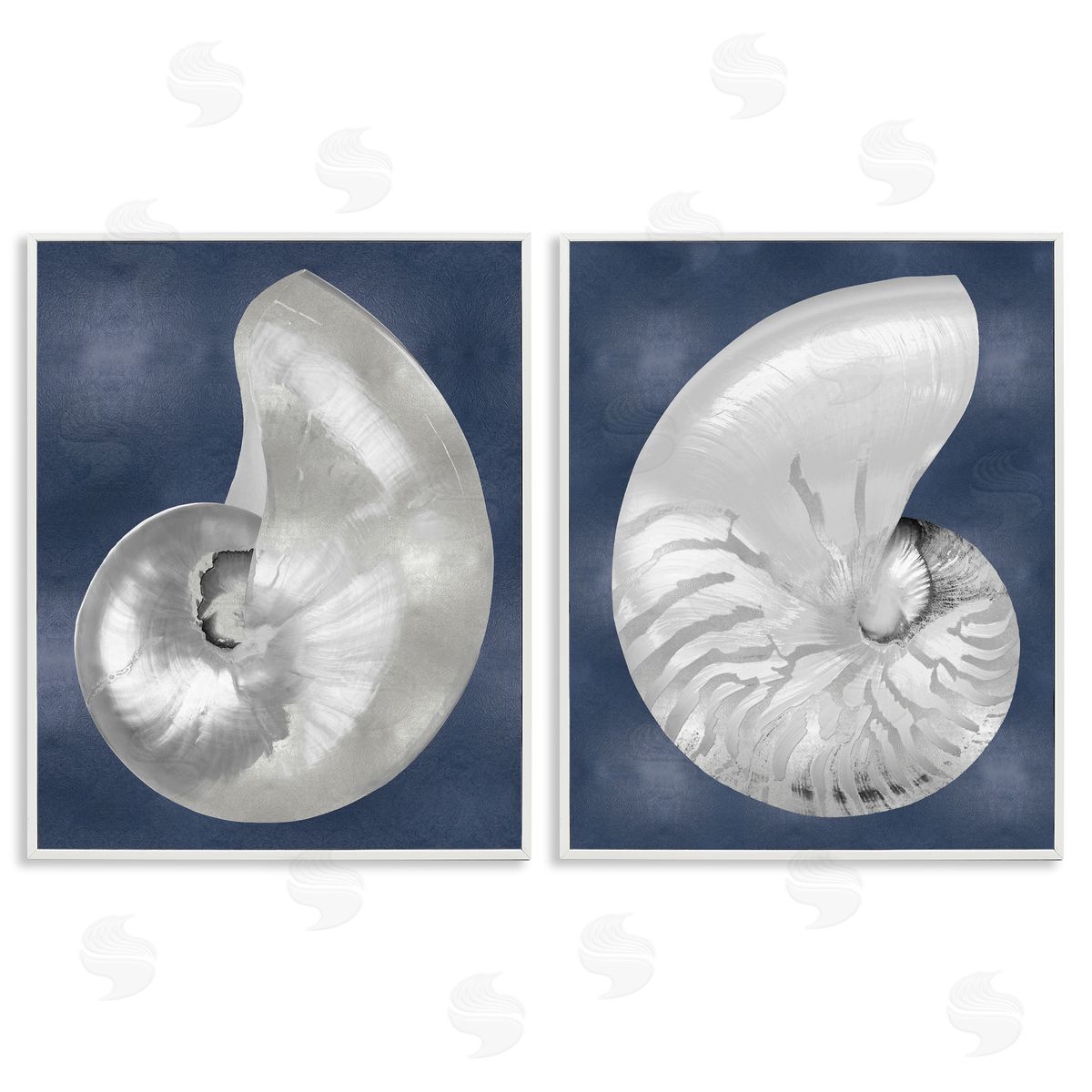 Caroline Kelly | Nautilus Spiral Shells on Blue