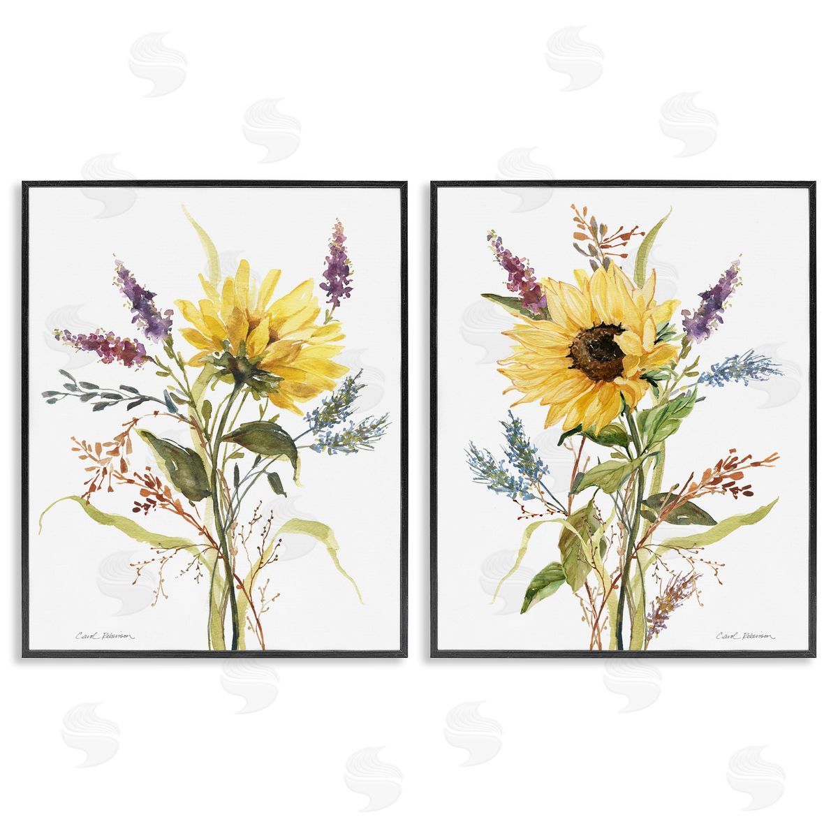 Carol Robinson | Wild Blooms Bundles