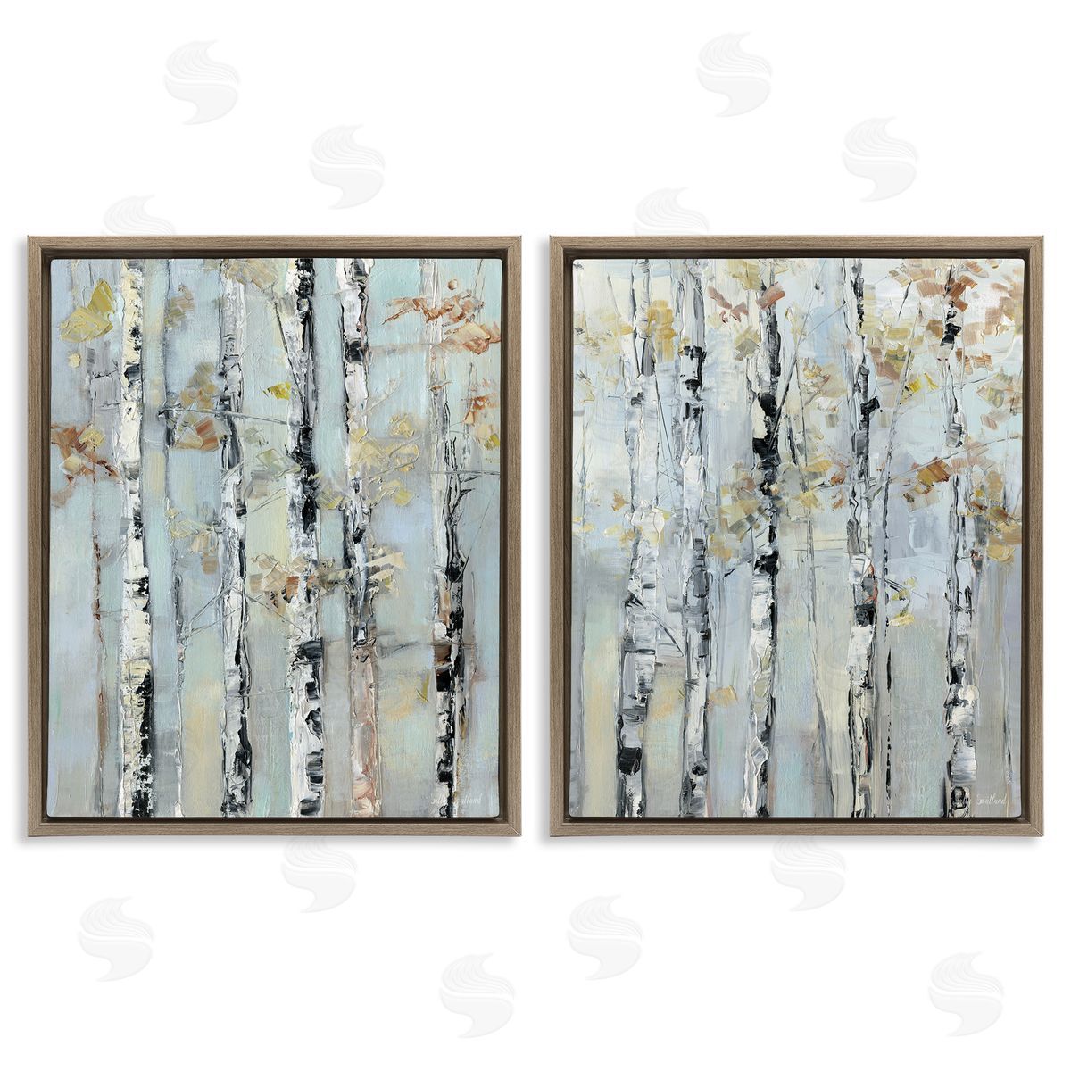 Sally Swatland | Autumnal Birch Trees