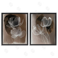 Annabelle Hall | Mocha Toned Gossamer Roses