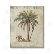 Andrea Haase | Vintage Palm Tree Study