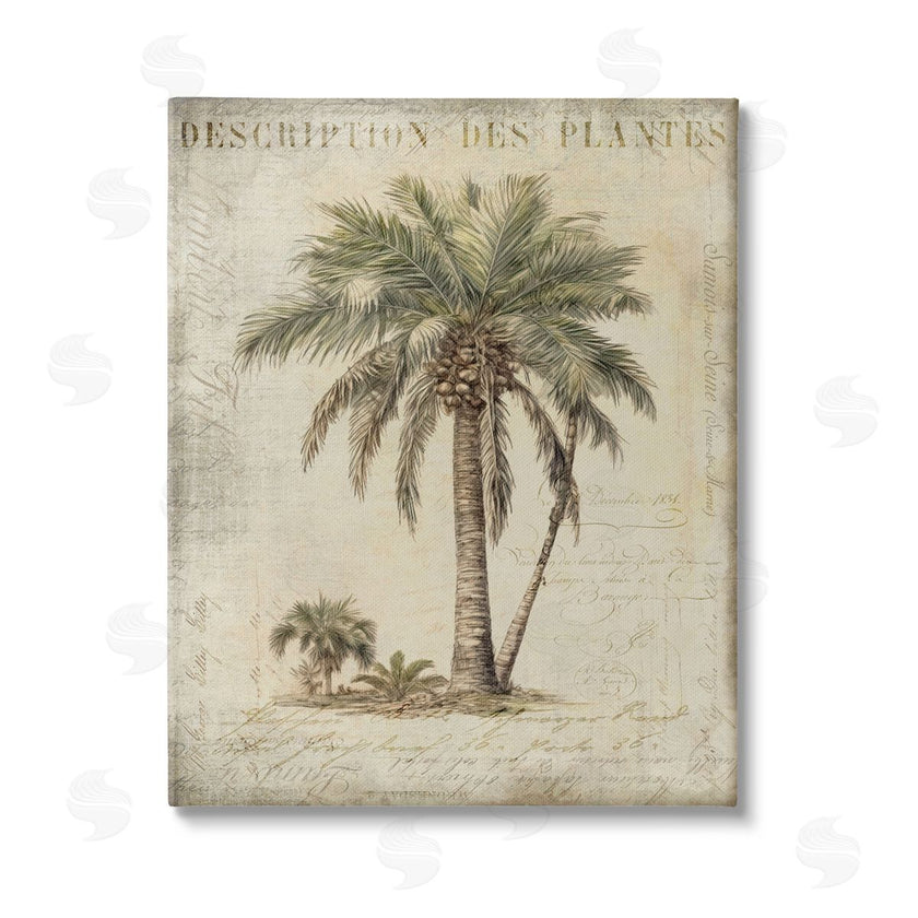 Andrea Haase Vintage Palm Tree Study Canvas Wall Art