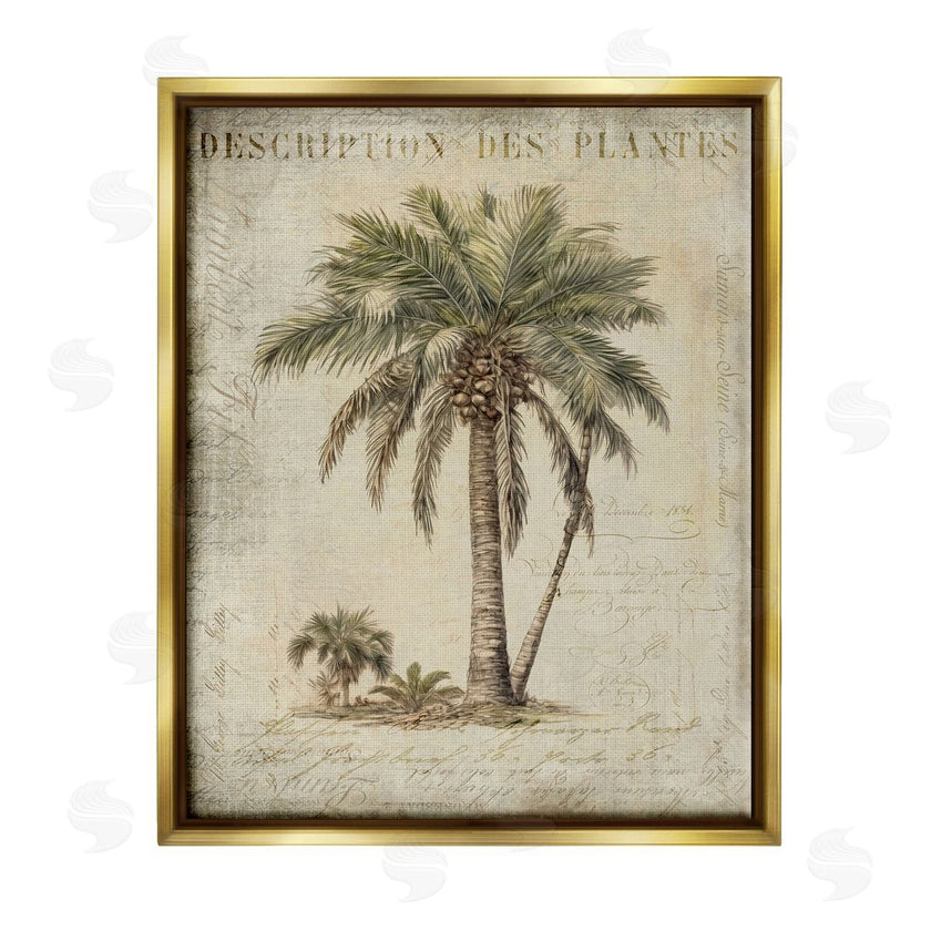 Andrea Haase | Vintage Palm Tree Study