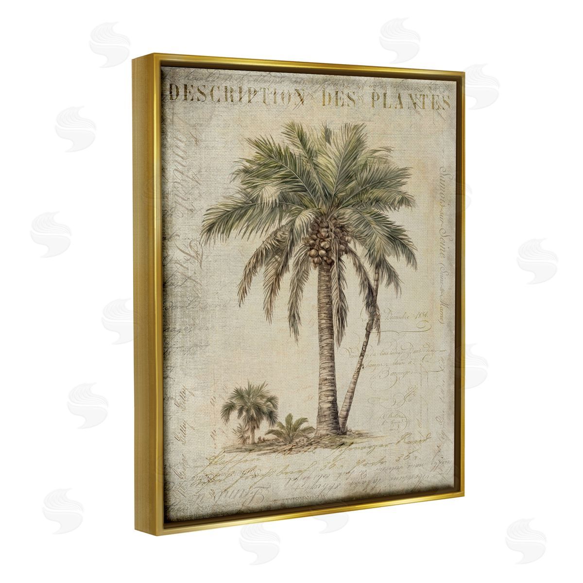 Andrea Haase | Vintage Palm Tree Study