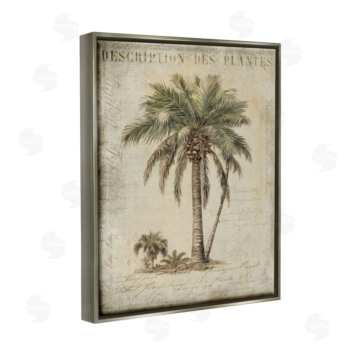 Andrea Haase | Vintage Palm Tree Study