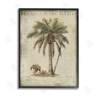 Andrea Haase | Vintage Palm Tree Study