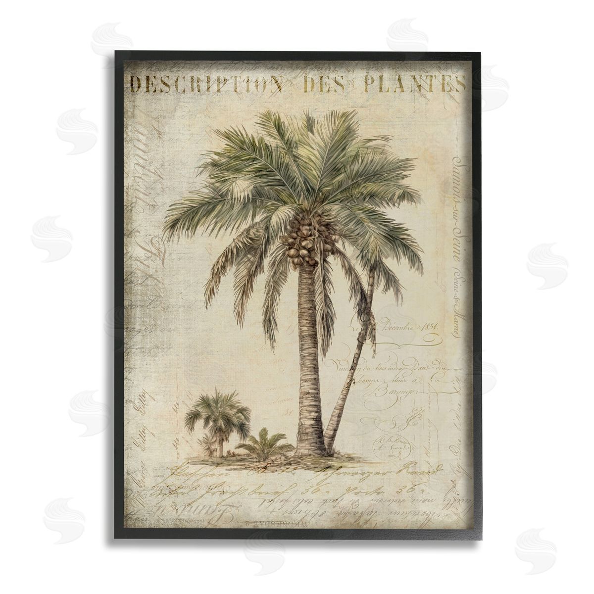 Andrea Haase | Vintage Palm Tree Study