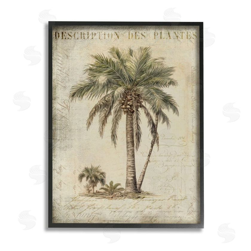 Andrea Haase | Vintage Palm Tree Study