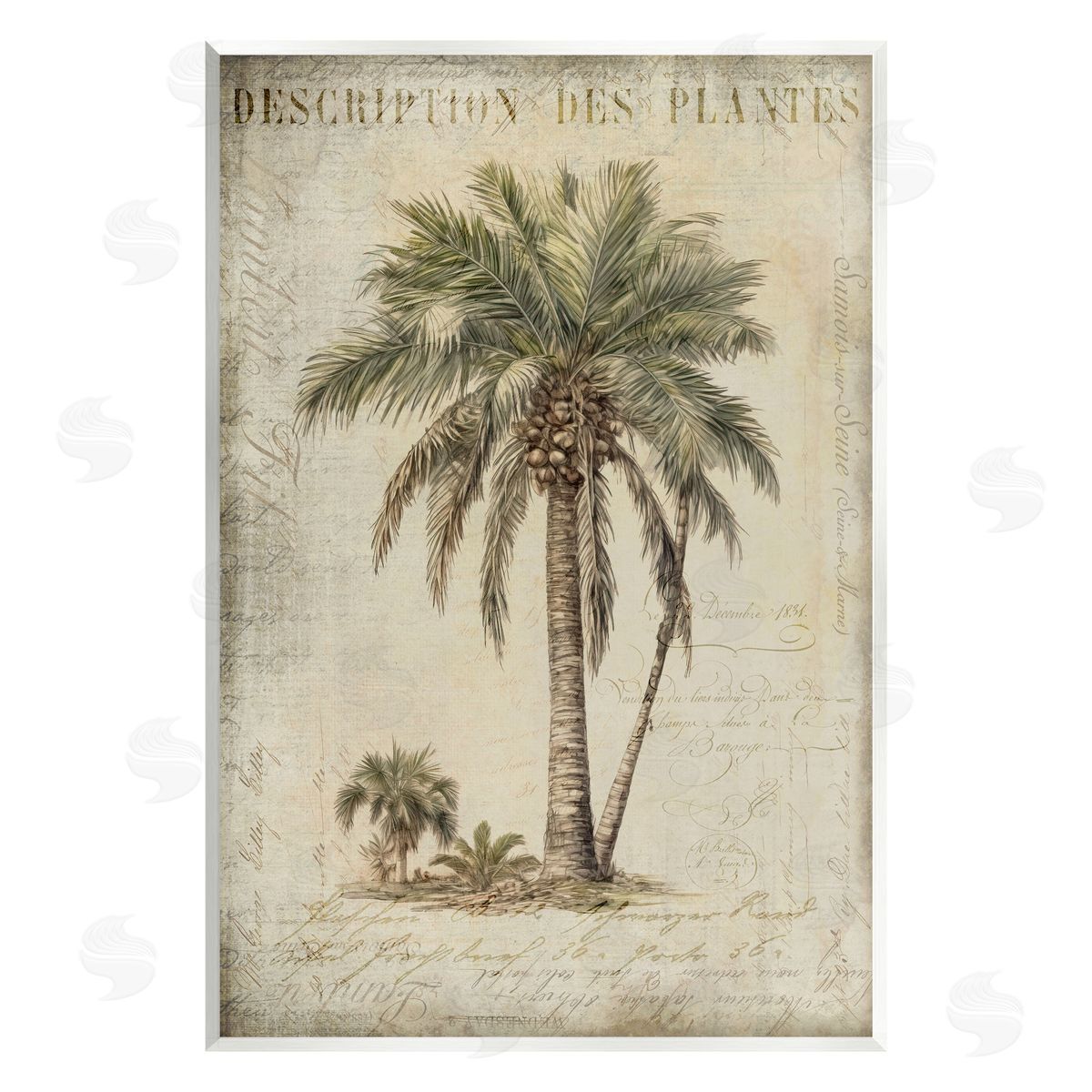 Andrea Haase Vintage Palm Tree Study Wall Plaque Artside_