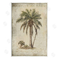 Andrea Haase | Vintage Palm Tree Study