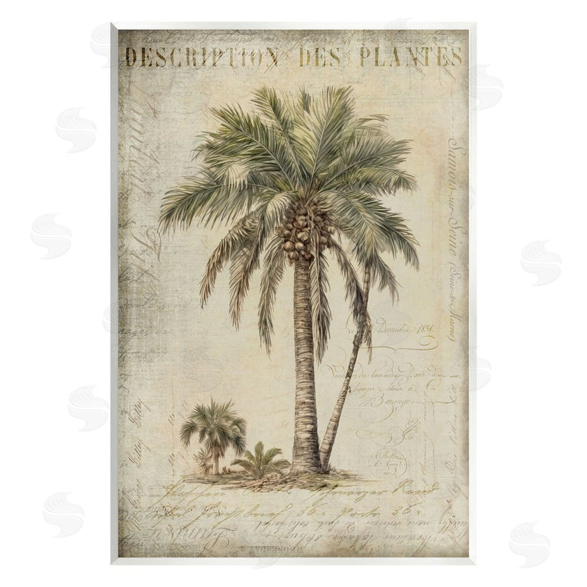 Andrea Haase | Vintage Palm Tree Study