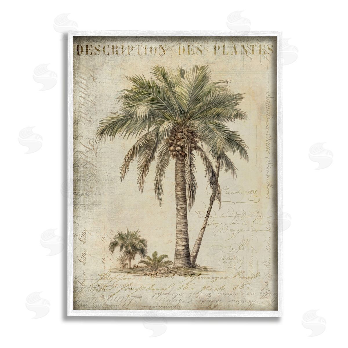 Andrea Haase Vintage Palm Tree Study White Framed Giclee Wall Artside_
