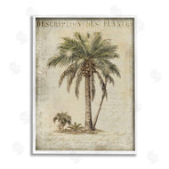 Andrea Haase | Vintage Palm Tree Study