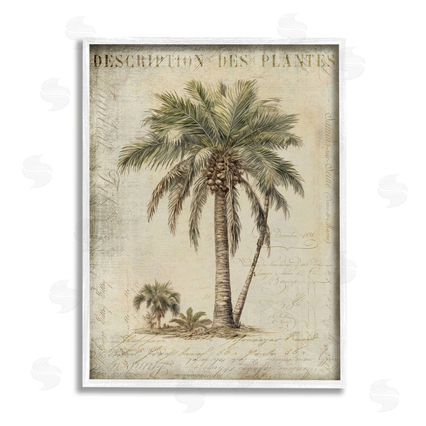Andrea Haase | Vintage Palm Tree Study