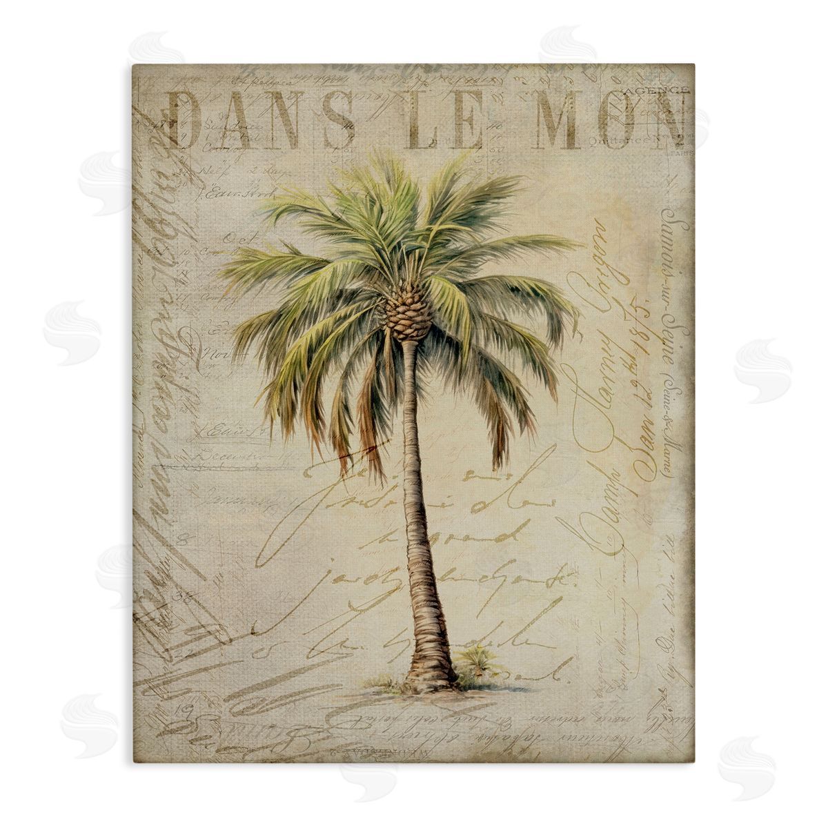 Andrea Haase Vintage Palm Tree Canvas Wall Art