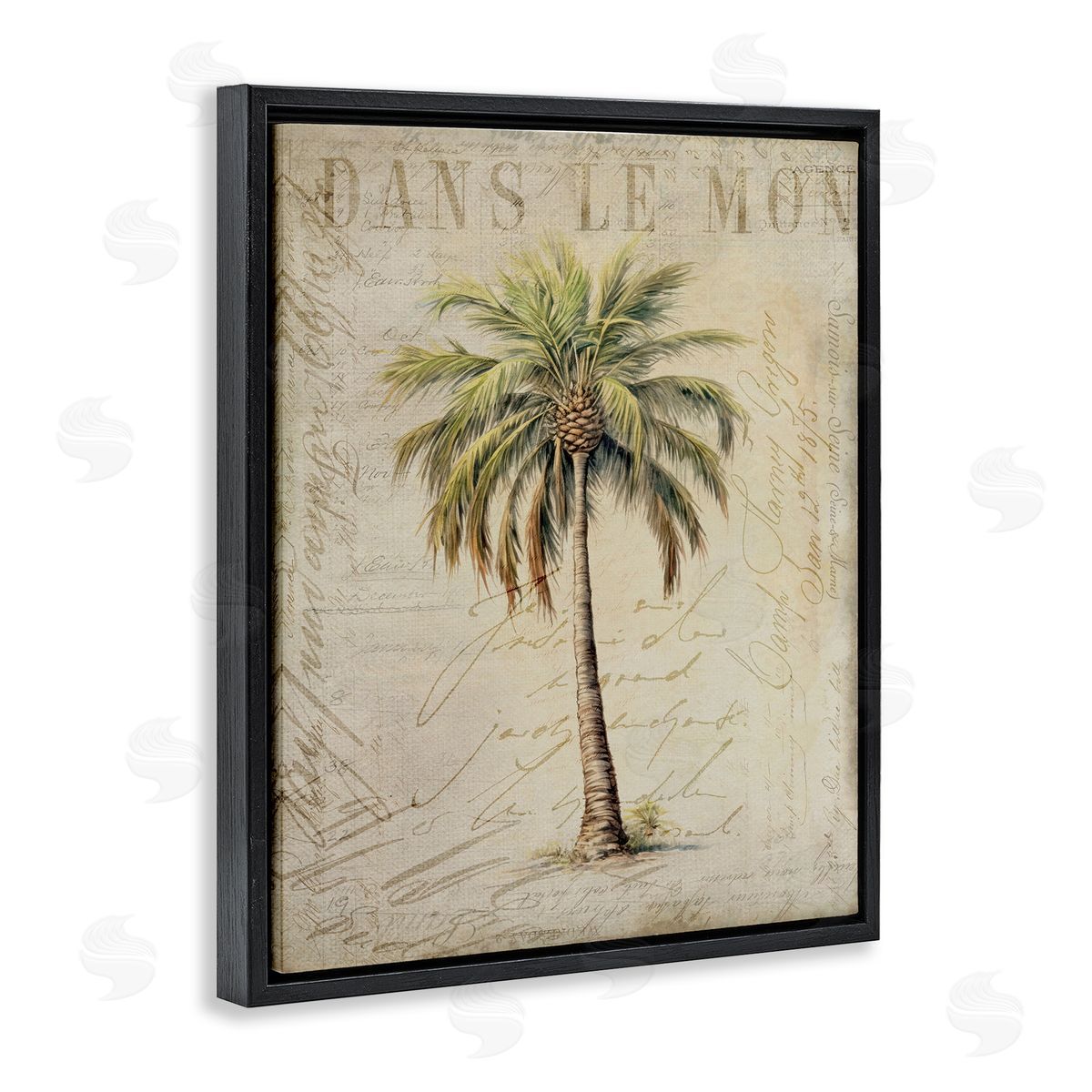 Andrea Haase | Vintage Palm Tree