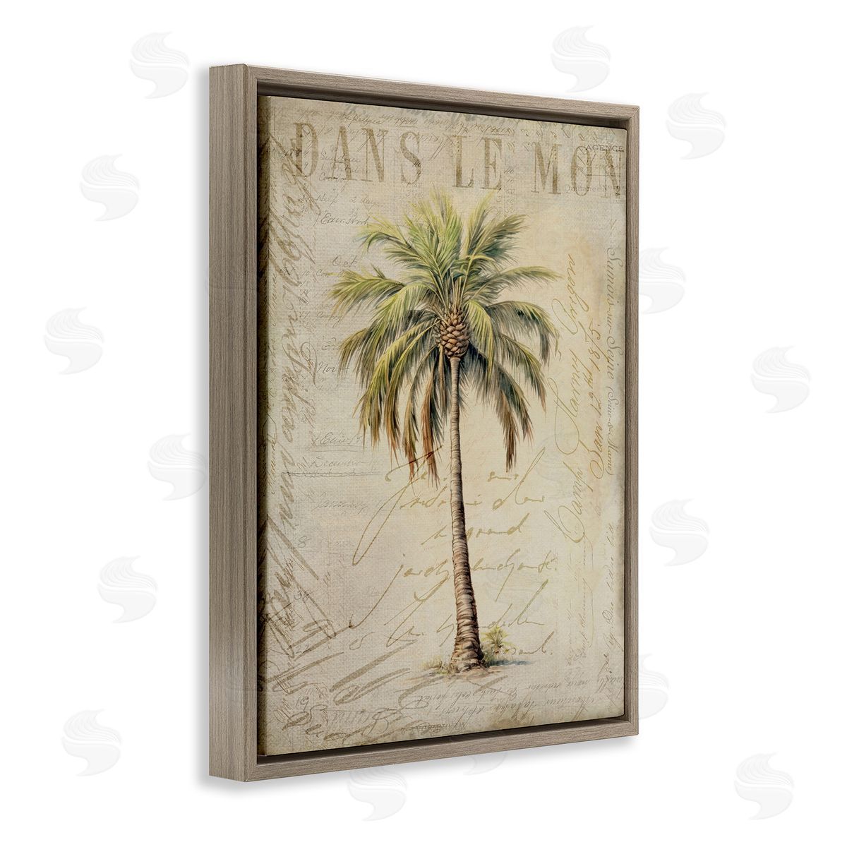 Andrea Haase | Vintage Palm Tree
