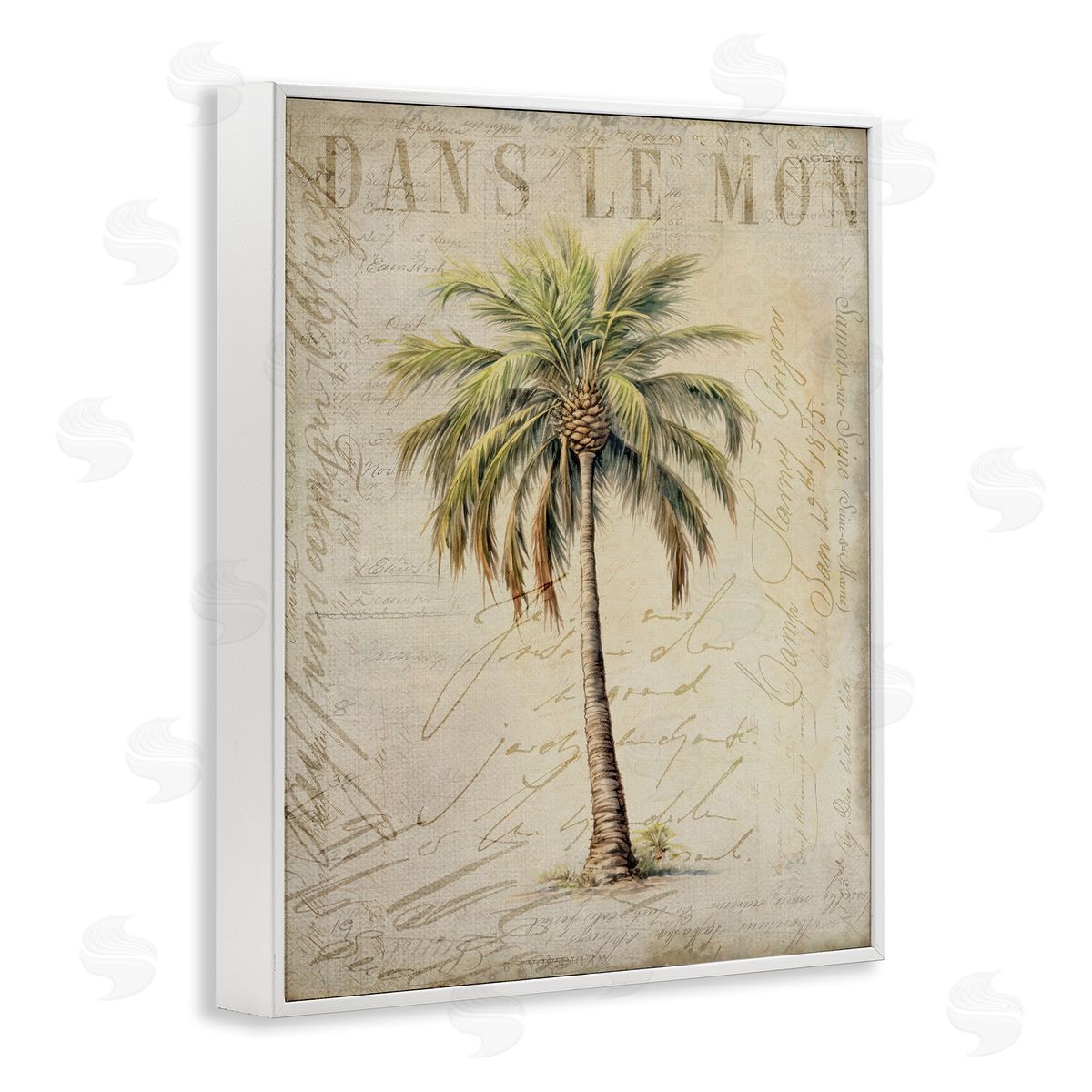 Andrea Haase | Vintage Palm Tree