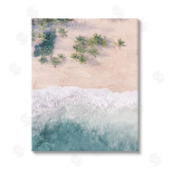 Kim Allen | Aerial Tropical Beach