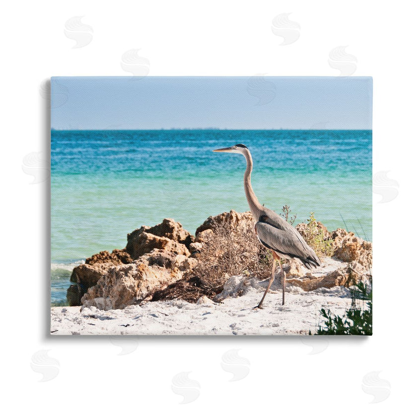 Mary Lou Johnson | Heron Watching Ocean