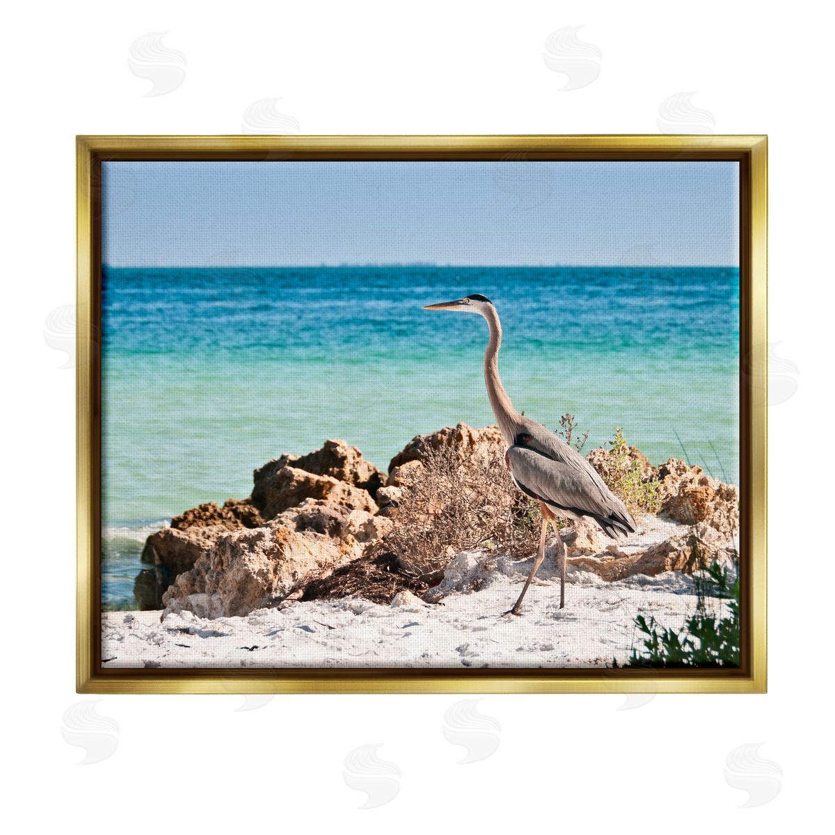 Mary Lou Johnson | Heron Watching Ocean