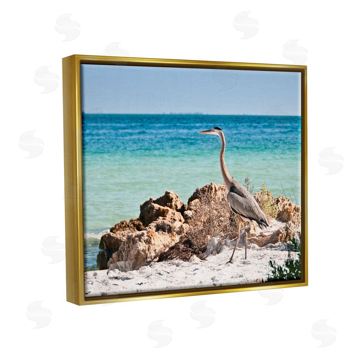 Mary Lou Johnson | Heron Watching Ocean