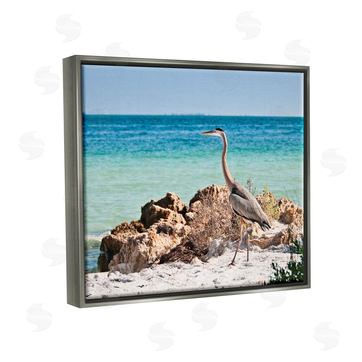 Mary Lou Johnson | Heron Watching Ocean