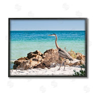Mary Lou Johnson | Heron Watching Ocean