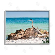 Mary Lou Johnson | Heron Watching Ocean