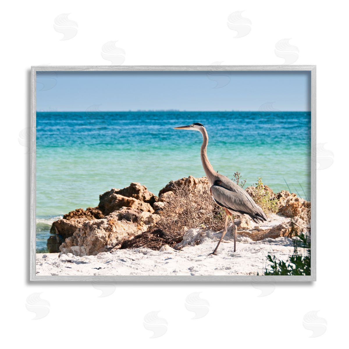 Mary Lou Johnson | Heron Watching Ocean