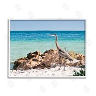 Mary Lou Johnson | Heron Watching Ocean