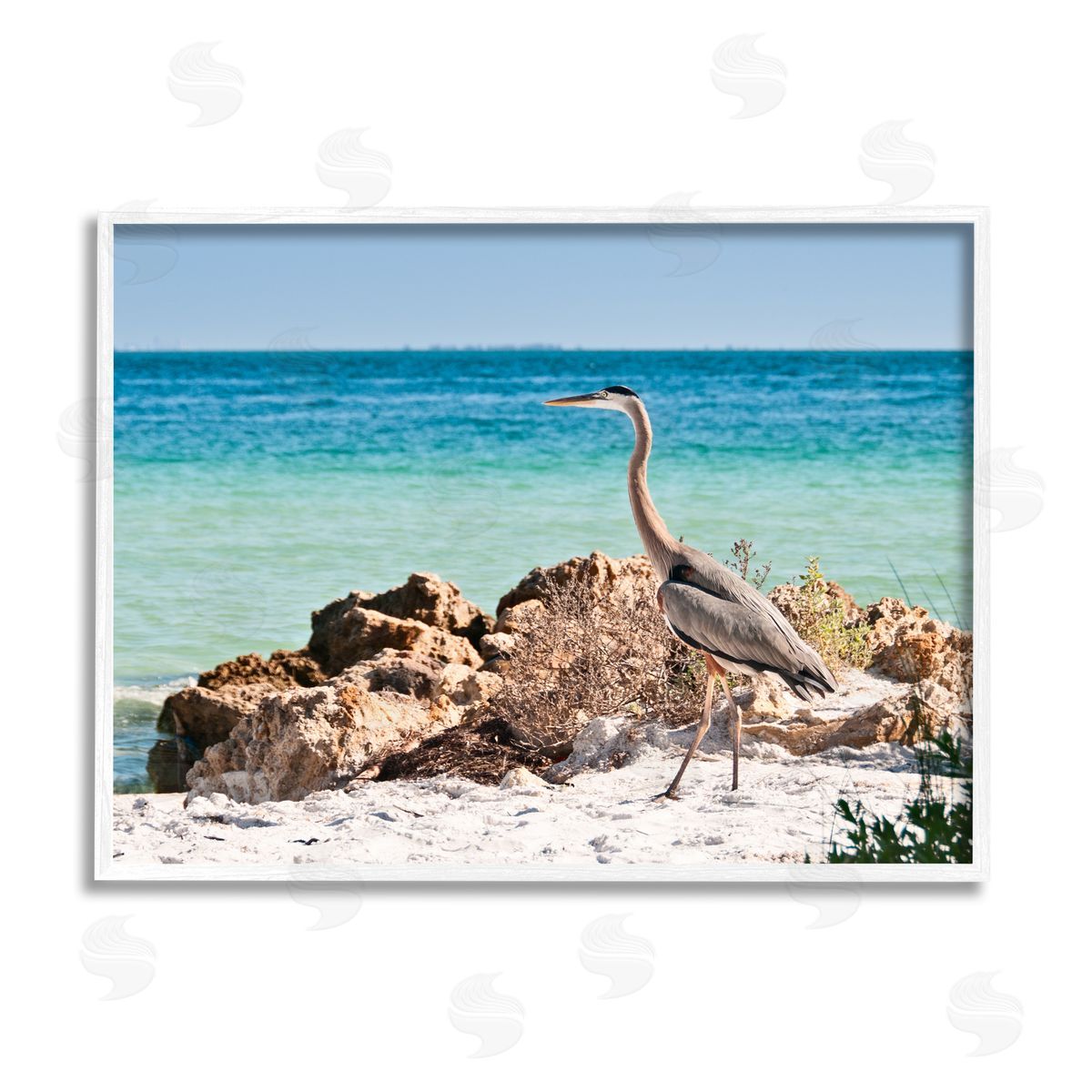 Mary Lou Johnson | Heron Watching Ocean