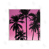 Mia Jensen | Palm Trees & Pink Sky
