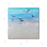 Craig Trewin Penny | Seagulls Grazing on Shore
