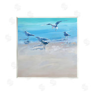 Craig Trewin Penny | Seagulls Grazing on Shore