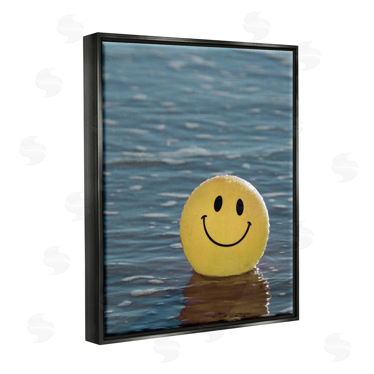 Stupell Studio Smiley Beach Ball Black Floater Frame Canvas Artside_