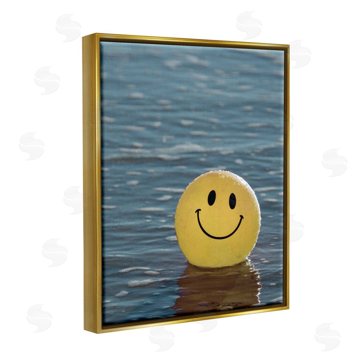 Stupell Studio Smiley Beach Ball Gold Floater Frame Canvas Artside_
