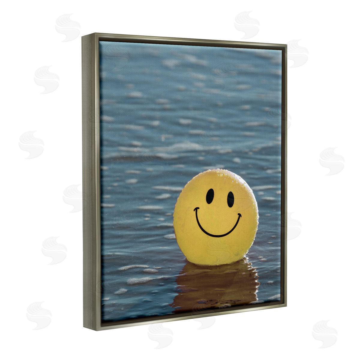 Stupell Studio Smiley Beach Ball Gray Floater Frame Canvas Artside_