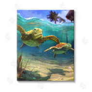 Vlad Mel | Tropical Underwater Turtles