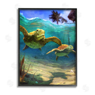 Vlad Mel | Tropical Underwater Turtles