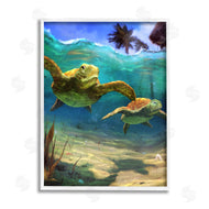Vlad Mel | Tropical Underwater Turtles