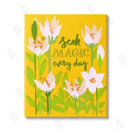 Pragya Kothari | Seek Magic Every Day