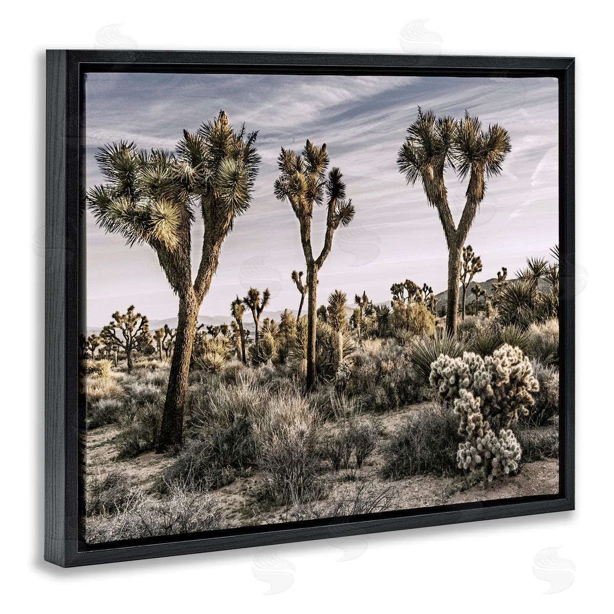 Desert Cacti Vegetation Black Floating Frame Canvas Wall Art, Home Decor by Rachel Perry
