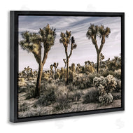 Rachel Perry | Desert Cacti Vegetation