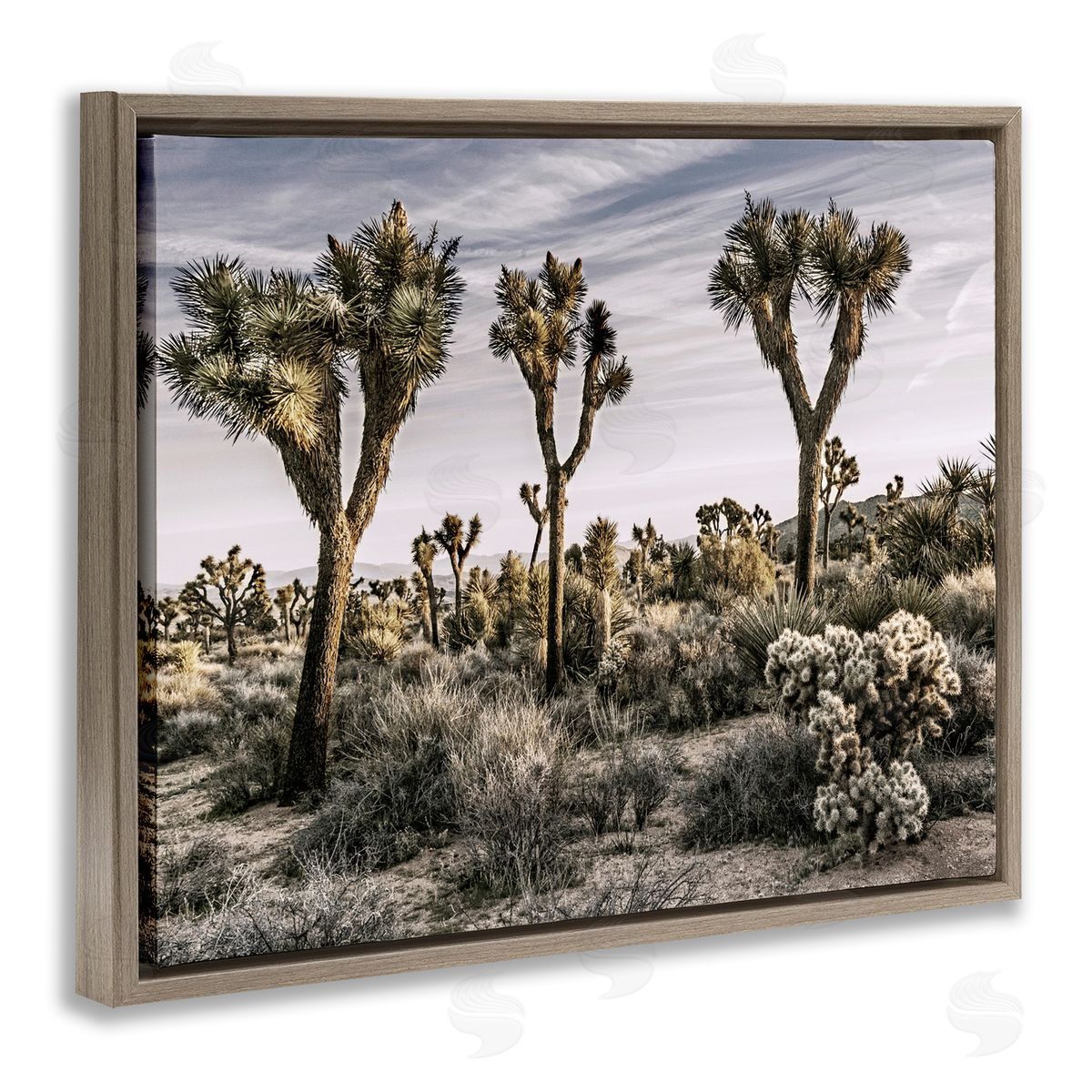 Desert Cacti Vegetation Brown Floating Frame Canvas Wall Art, Home Decor by Rachel Perry
