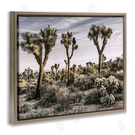 Rachel Perry | Desert Cacti Vegetation